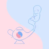 The Baby Genie